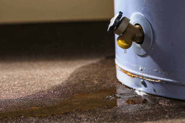 Best Mold removal after water damage  in Barberton, OH