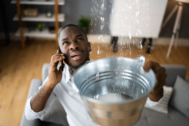 Best Water damage contractors near me  in Barberton, OH