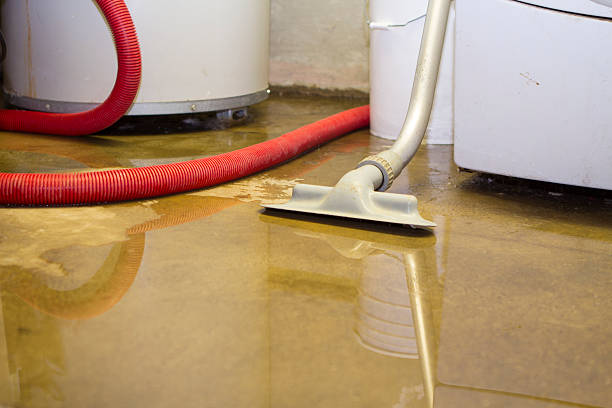 Best Sewage cleanup and water damage restoration  in Barberton, OH