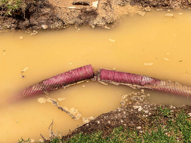 Best Professional water damage repair  in Barberton, OH