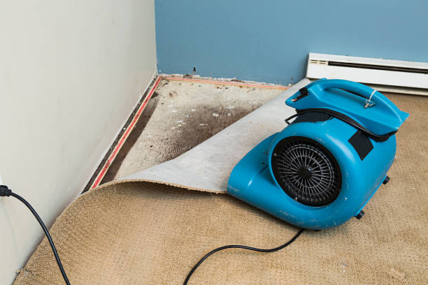 Best 24-hour water damage restoration  in Barberton, OH